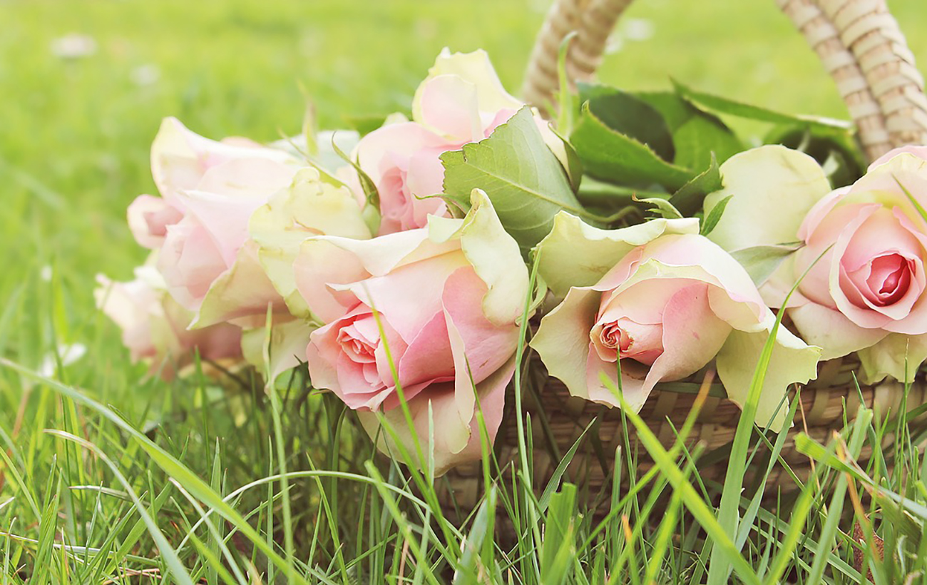 День Віри, Надії, Любові та Софії: привітайте близьких красивими листівками, віршами і СМС